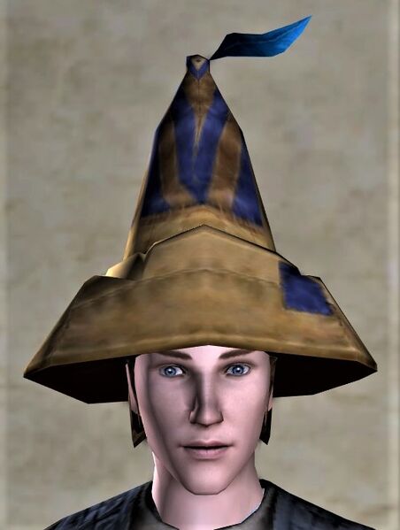 File:Pointed Hat 3 (front).jpg