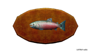 6-pound Salmon