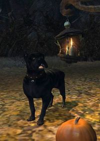 Black Mastiff