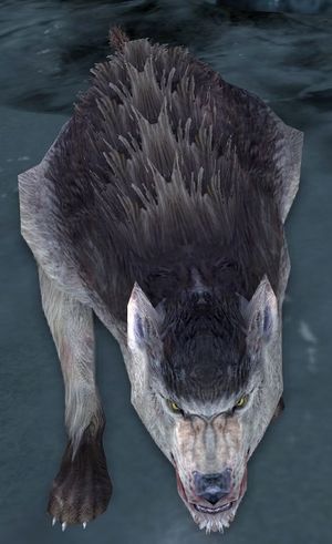 Hunting Red-fang.jpg