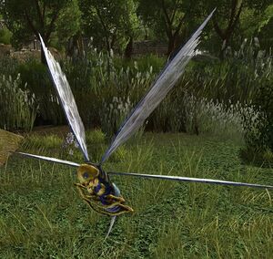 Marsh-fly Drone.jpg