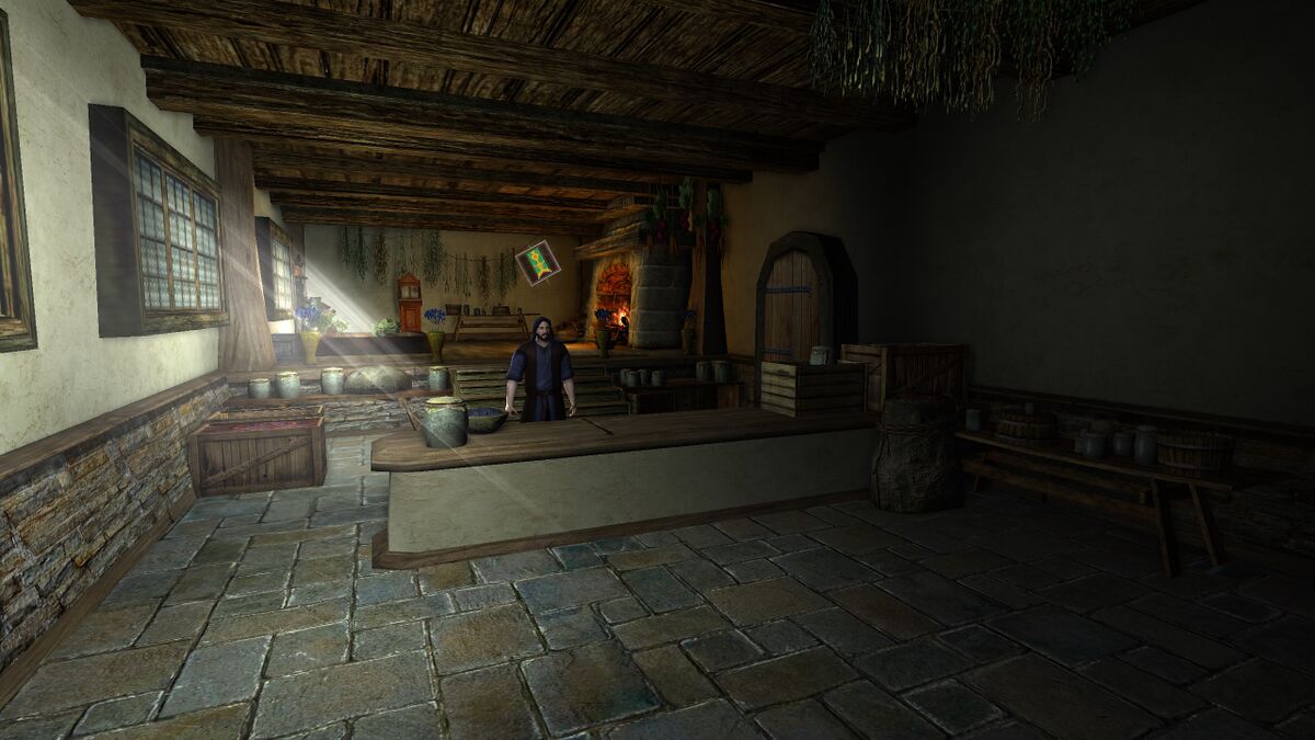 Mossward Healer's Shop - Lotro-Wiki.com