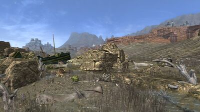 The lake bed is not fully lifeless, however, as tortoises thrive among the shallows at Karmu Râx.