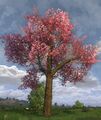 Large Flowering Spring Tree