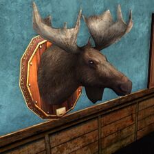 Frost-antler Head can be traded for