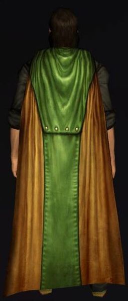 File:Heavy Cloth Cloak Dark Green.jpg