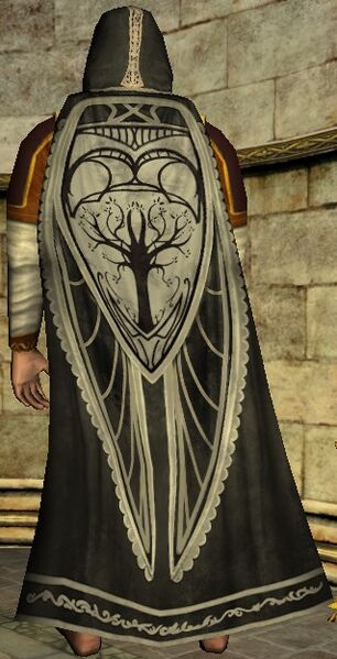 Hooded Cloak