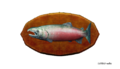 10-pound Salmon