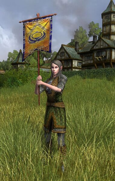 File:Elvish Maid-at-arms Herald of Victory.jpg