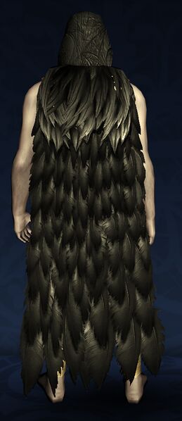 File:Hooded Cloak of the Autumn Wanderer.jpg
