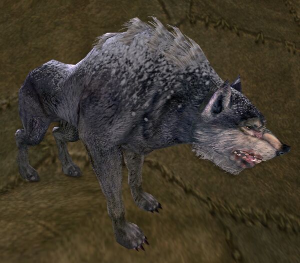 Mountain Warg Appearance - Lotro-Wiki.com