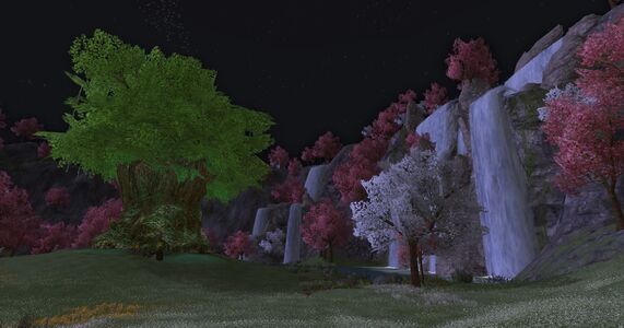 The Pristine Glade at night