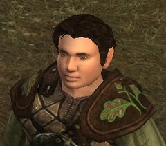 Item:Elegant Holbytla Shoulderguards - Lotro-Wiki.com