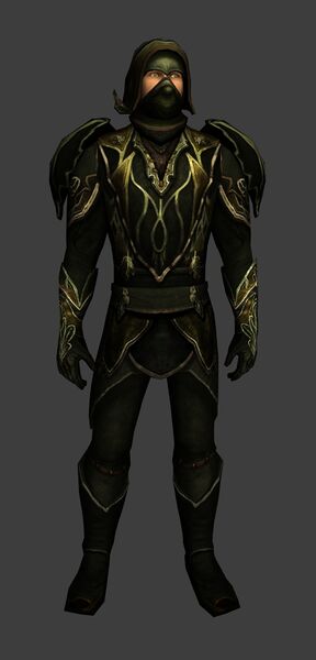 File:Armour of the Shadow-walker (Level 65 front).jpg