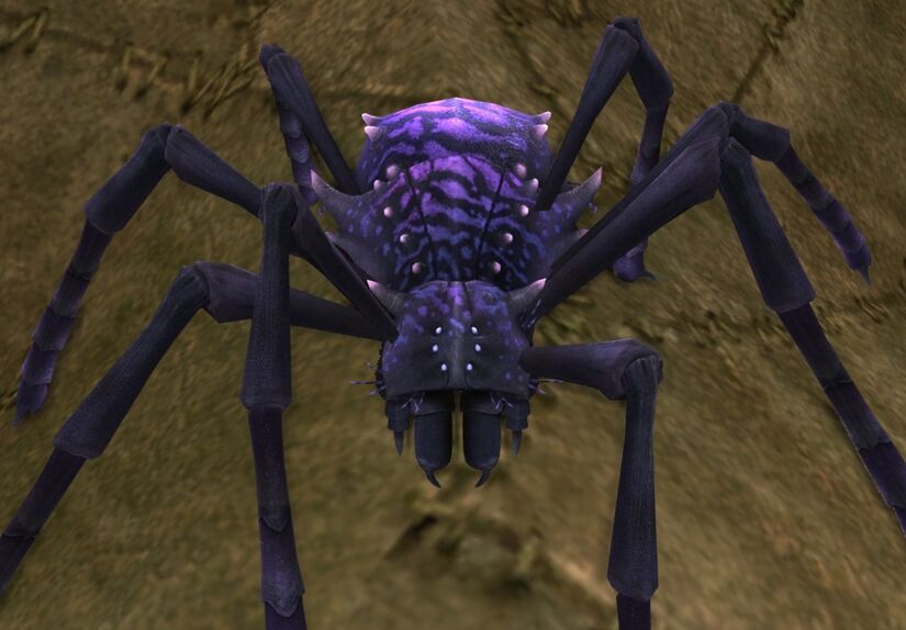 Disease elemental spider appearance lotro wiki