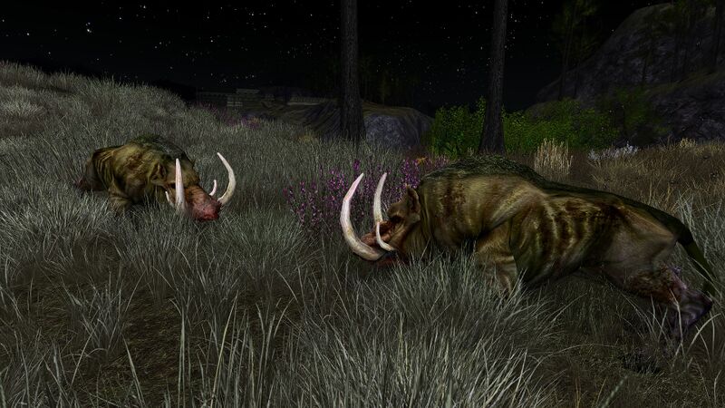 File:Fighting Boars.jpg