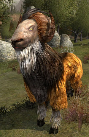 Redhorn Goat.jpg