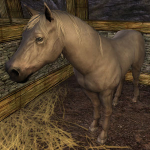 Image of Utred's War-steed