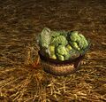 Homestead Basket of Broccoli