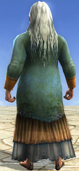 File:Costume of Sara Oakheart (back).jpg