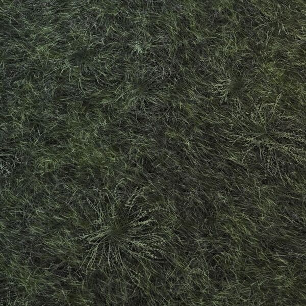 Item:Dry Grass Floor 