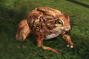 Revolting Silt-toad.jpg