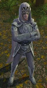 Image of Caras Galadhon Warden