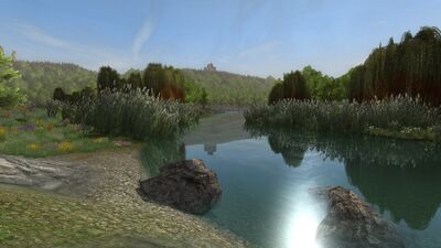 The Erui widens as it approaches the Anduin, the left bank having formed a marshy delta where the water has seeped into the ground.