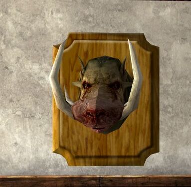 Mounted Boar Head