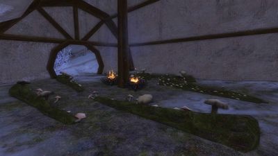 Mushrooms growing on logs in Frostbluff