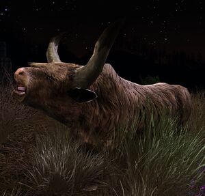 Image of Grazing Ox
