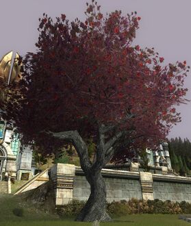 King Crimson Tree