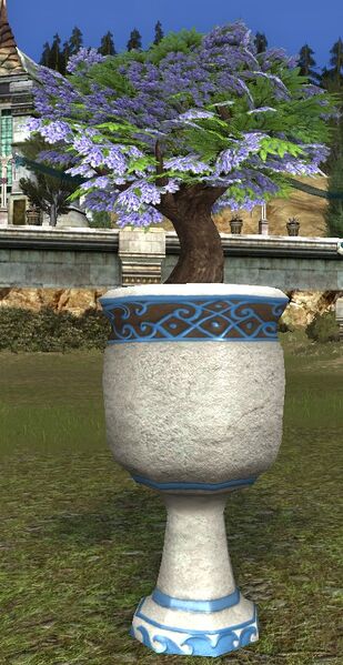 File:Seaside Jacaranda Planter.jpg