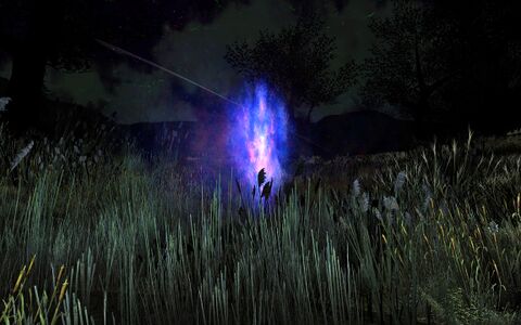A shadow rift in the Dunbog, leading into the haunted arena of the Nazgûl...