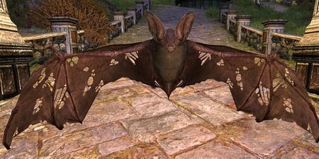 Item:Tome Of The Tattered Bat - Lotro-Wiki.com