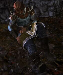Image of Wounded Subuzûri