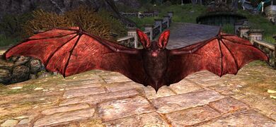 Blood-red Bat