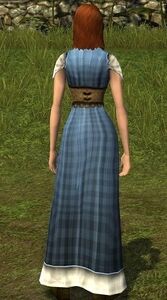 Picnic Dress