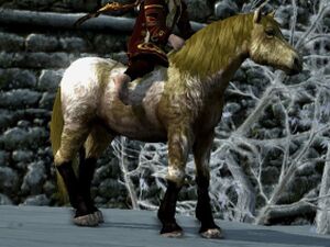 Shaggy Roan Coat: Dark Bay