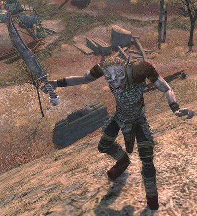 Blogmal Skirmisher (Angmar East) - Lotro-Wiki.com