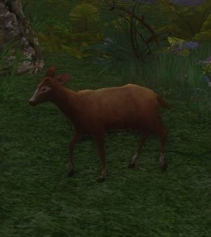 Golden-tailed Fawn.jpg