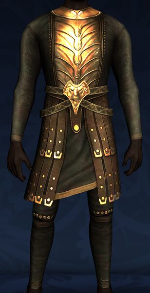 File:Golden Lion Armour (front).jpg