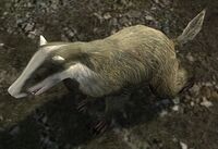 True badgers can be found as far south as Eregion, where many Scrub Badgers have their lair at Torech Bornagol.