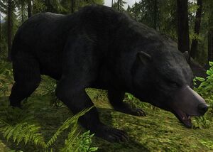 Big Black-bear - Lotro-Wiki.com