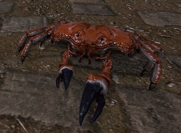 Grabby Crab