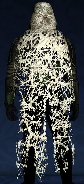 File:Hooded Cobweb Cloak.jpg