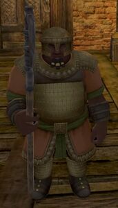 Image of Temámir Guard