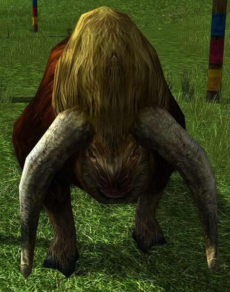 File:Autumn Aurochs.jpg
