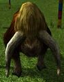 Autumn Aurochs