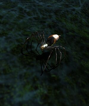 Fangorn Spiderling.jpg